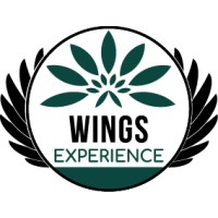 Wings Experience logo - Similar company to Jocr Consulting