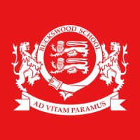 Buckswood Saudi Arabia logo - Similar company to Aization