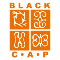 Black Coalition for AIDS Prevention logo - Similar company to African And Caribbean Council On Hiv/Aids In Ontario - Accho