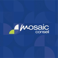 Mosaic Conseil logo - Similar company to Austra / Agence De Communication