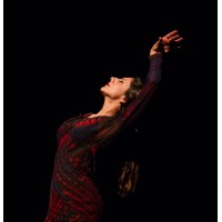 Omayra Amaya Flamenco Dance Company, Inc. logo - Similar company to Tri D'Art International