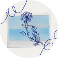 Collectif Mauvaises Herbes logo - Similar company to Projet Adelphité
