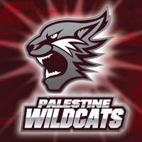 Palestine ISD
