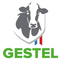 Gestel logo - Similar company to Cq