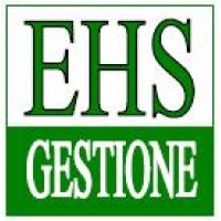 EHS gestion s.r.l. logo - Similar company to Tds Metrocom
