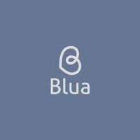 Blua Pediatria logo - Similar company to Castro Produtora