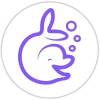 DolphinC Technology logo - Similar company to The Nexus Media