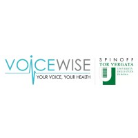 Voicewise logo - Similar company to Cloudwise Srl
