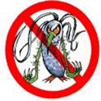 F.I.T. Management, Inc. - Germbusters