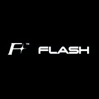 Flash Ventures logo - Similar company to Flash Development