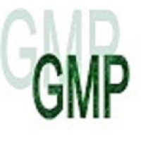 GMP Consulting Services, Inc. logo - Similar company to Gmp Consulting