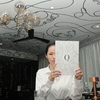 Clarissa Luk (Artist) logo - Similar company to Skope