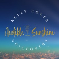 Audible Sunshine, LLC logo - Similar company to Kelly Miller - Business Growth Consultant