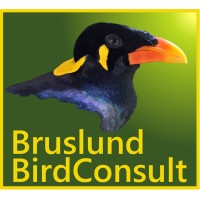Bruslund Birdconsult