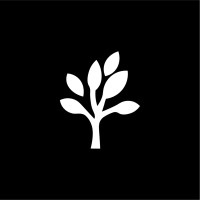 Bandi Media logo - Similar company to Betaevents