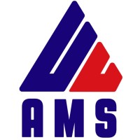 AMS Consulting logo - Similar company to Ams Consulting
