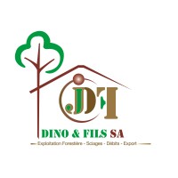 DINO&FILS S.A logo - Similar company to Tsconsulting