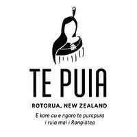 Te Puia | NZMACI logo - Similar company to Global76