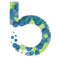 Beltalabs logo - Similar company to Visual Ace Enterprise Business Management Erp