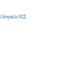 Chrysalis FZE logo - Similar company to Paschal Emirates Co. L.L.C