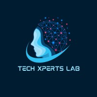 Tech Xperts Lab logo - Similar company to Pathsense Ai