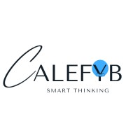 Calefyb Technology logo - Similar company to 2Solution