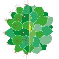 British Cactus and Succulent Society logo - Similar company to Royal Horticultural Halls