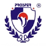 Prosper Overseas Education and Immigration Consultants logo - Similar company to Prosper Overseas