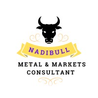 NadiBull metals and markets consultant logo - Similar company to Gold.App