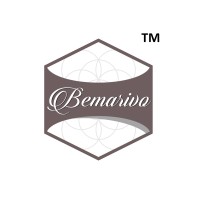 Bemarivo Vanilla logo - Similar company to Vanissa