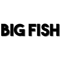 BIG FISH BOOKING COMPANY logo - Similar company to Aim & Amplify