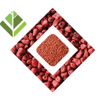 Pé de Urucum Institute logo - Similar company to Coddart