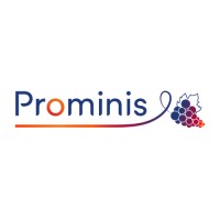 Prominis logo - Similar company to Rocket School Nice