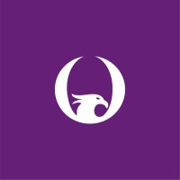Phoenix Wise Solutions Limited logo - Similar company to E3-Institut