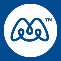 Mavis Technologies Limited logo - Similar company to Wireless Excellence