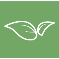 Leaf studio_création logo - Similar company to Badoumba !