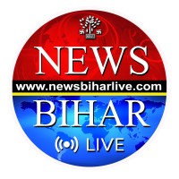 News Bihar logo - Similar company to Dd Bihar