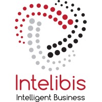 Intelibis logo - Similar company to Expertech