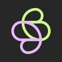 Slink logo - Similar company to Payve