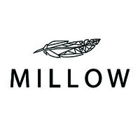 Millow logo - Similar company to Deyongs Ltd