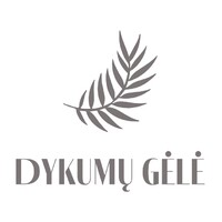 Dykumų gėlė logo - Similar company to Sc Growth Advisor