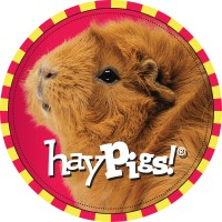 HayPigs!® logo - Similar company to Codrain Technolabs Pvt Ltd.
