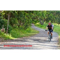 Performance Cyclery