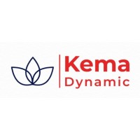 Kema Dynamic Egypt logo - Similar company to Sac Egypt