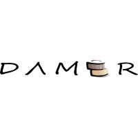 Damer logo - Similar company to Garage Digitale