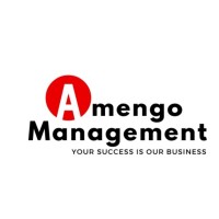 Amengo Management logo - Similar company to Nova Web Designs