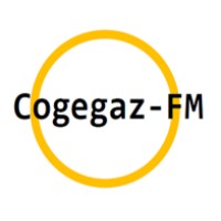 Cogegaz-fm SRL logo - Similar company to Grid Control Systems