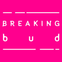 Breaking Bud logo - Similar company to Keyhires