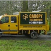 Canopy Tree Services
