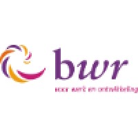 Bwr: Bedrijf Voor Werk En Re-Integratie / St. Baanvak